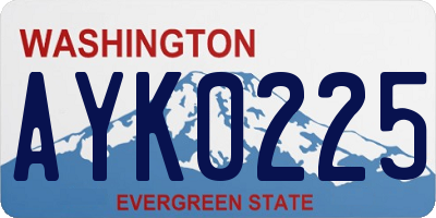 WA license plate AYK0225