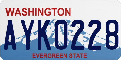 WA license plate AYK0228