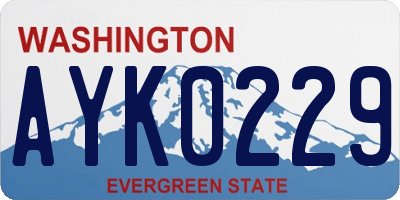 WA license plate AYK0229
