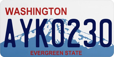 WA license plate AYK0230