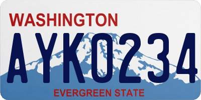 WA license plate AYK0234