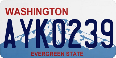 WA license plate AYK0239