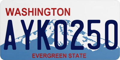 WA license plate AYK0250
