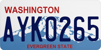 WA license plate AYK0265