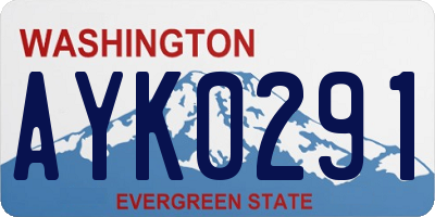 WA license plate AYK0291