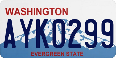 WA license plate AYK0299