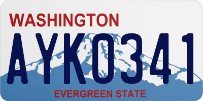 WA license plate AYK0341