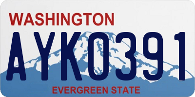 WA license plate AYK0391