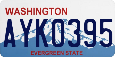 WA license plate AYK0395