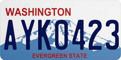 WA license plate AYK0423