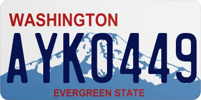 WA license plate AYK0449