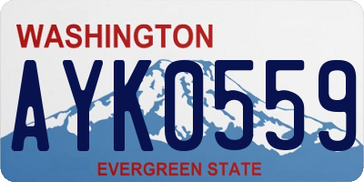 WA license plate AYK0559