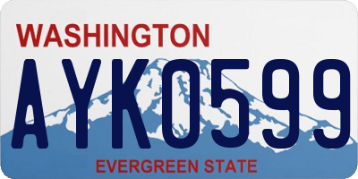 WA license plate AYK0599