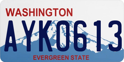 WA license plate AYK0613