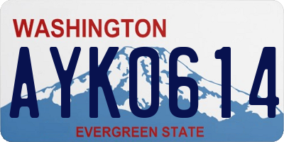 WA license plate AYK0614