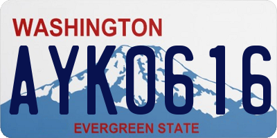 WA license plate AYK0616