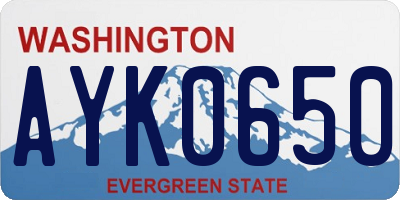WA license plate AYK0650