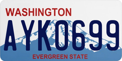WA license plate AYK0699