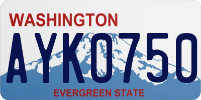 WA license plate AYK0750