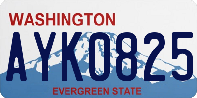 WA license plate AYK0825