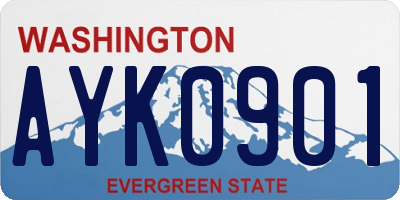 WA license plate AYK0901