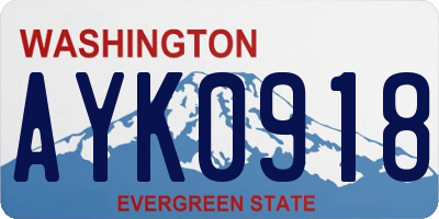 WA license plate AYK0918