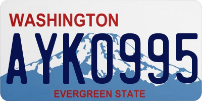 WA license plate AYK0995