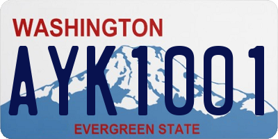 WA license plate AYK1001