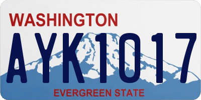 WA license plate AYK1017
