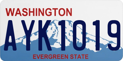 WA license plate AYK1019