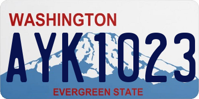 WA license plate AYK1023