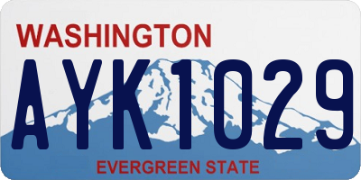 WA license plate AYK1029