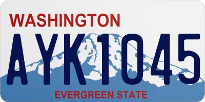 WA license plate AYK1045