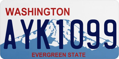 WA license plate AYK1099