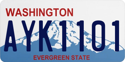 WA license plate AYK1101