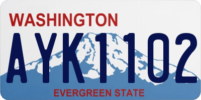 WA license plate AYK1102