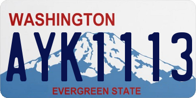 WA license plate AYK1113