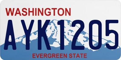 WA license plate AYK1205