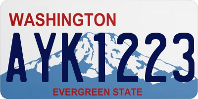 WA license plate AYK1223