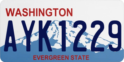 WA license plate AYK1229