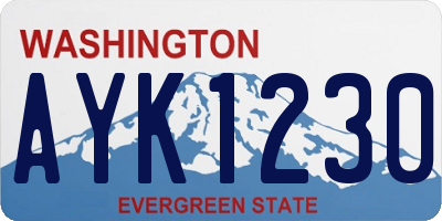 WA license plate AYK1230