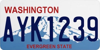 WA license plate AYK1239
