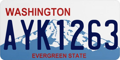 WA license plate AYK1263