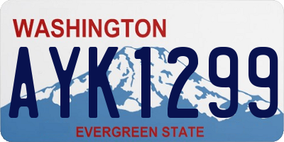 WA license plate AYK1299