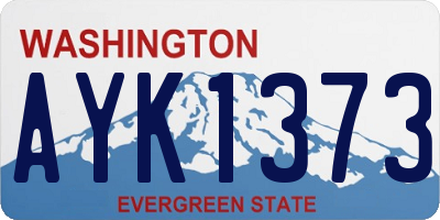 WA license plate AYK1373