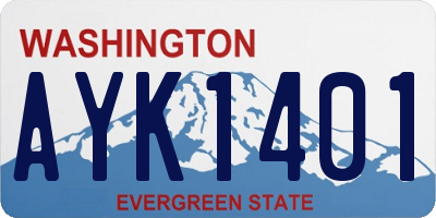 WA license plate AYK1401