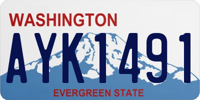 WA license plate AYK1491