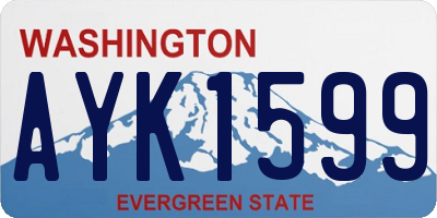 WA license plate AYK1599