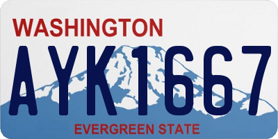 WA license plate AYK1667