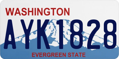 WA license plate AYK1828
